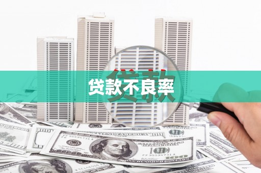 钢城贷款不良率