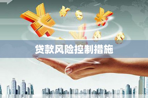 钢城贷款风险控制措施