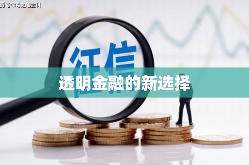 钢城透明金融的新选择